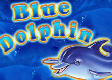 BlueDolphin_VS Blue Dolphin