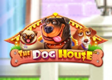 TheDogHouse The Dog House
