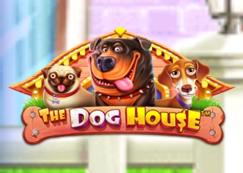 TheDogHouse The Dog House