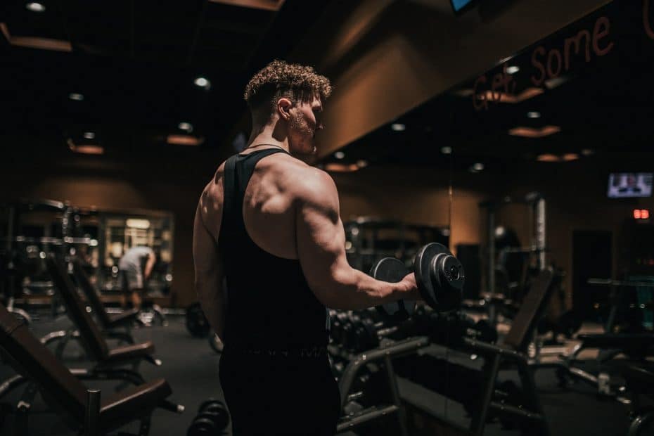 Die besten Weight Gainer