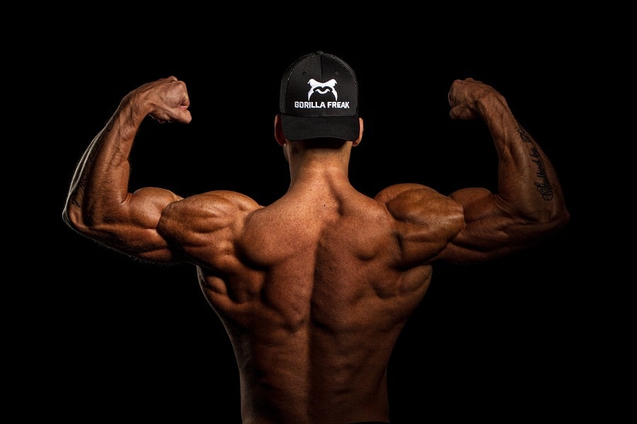 ESN Massive Weight Gainer